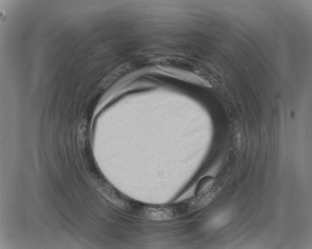 X0000080120275200701051402