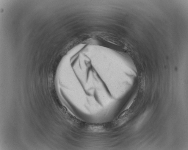 X0000080120283200701051402