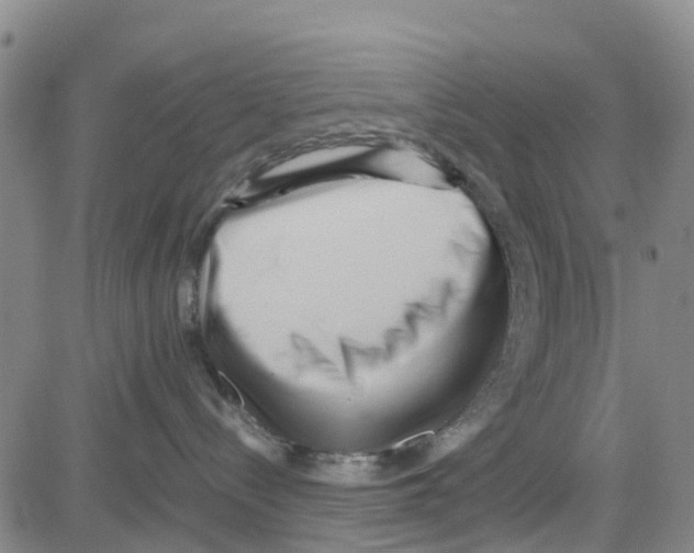 X0000080120288200701051402