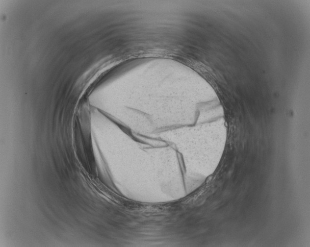 X0000080120290200701051401