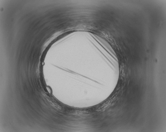 X0000080120292200701051401