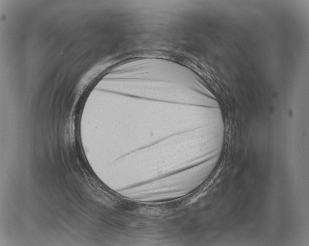 X0000080120294200701051401