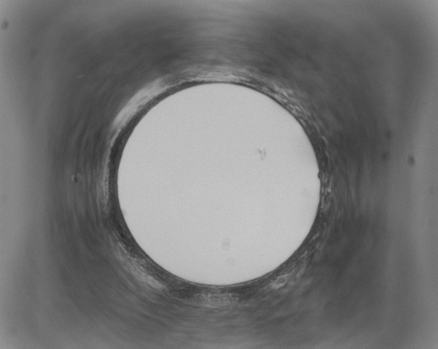 X0000080120296200701051401