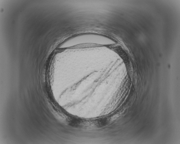 X0000080120299200701051401