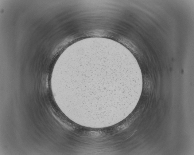 X0000080120302200701051401