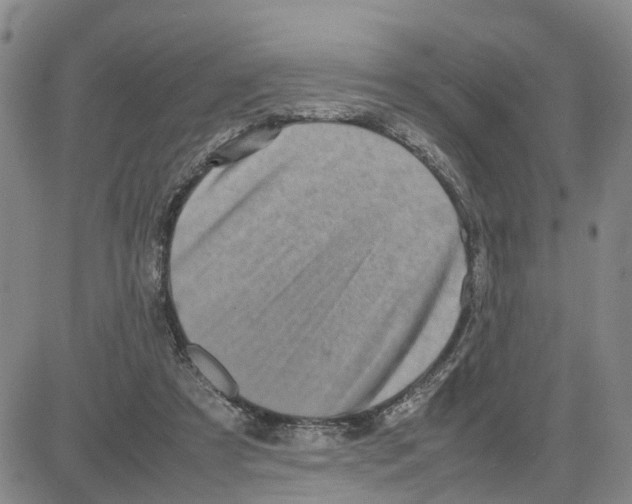 X0000080120305200701051401