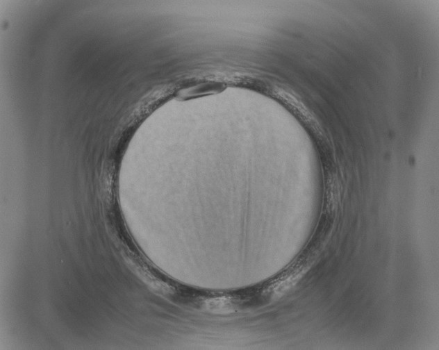 X0000080120309200701051401