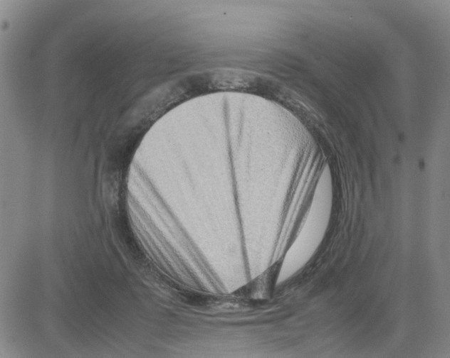 X0000080120315200701051401