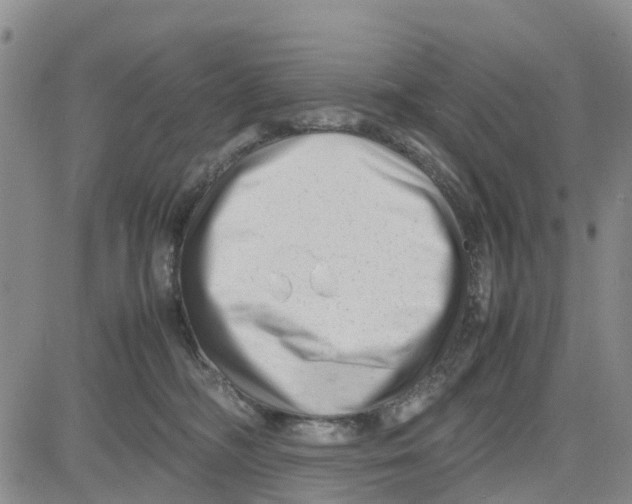 X0000080120326200701051401