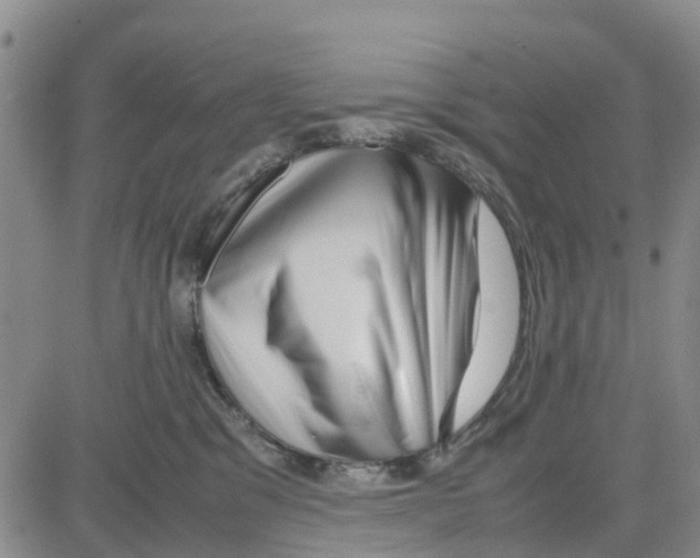 X0000080120329200701051401