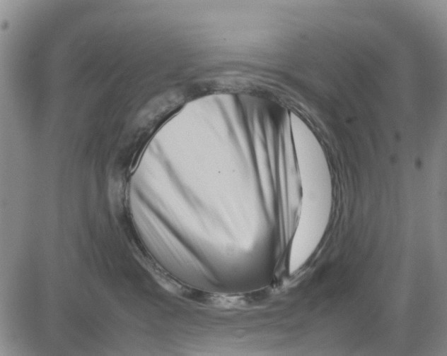 X0000080120333200701051400