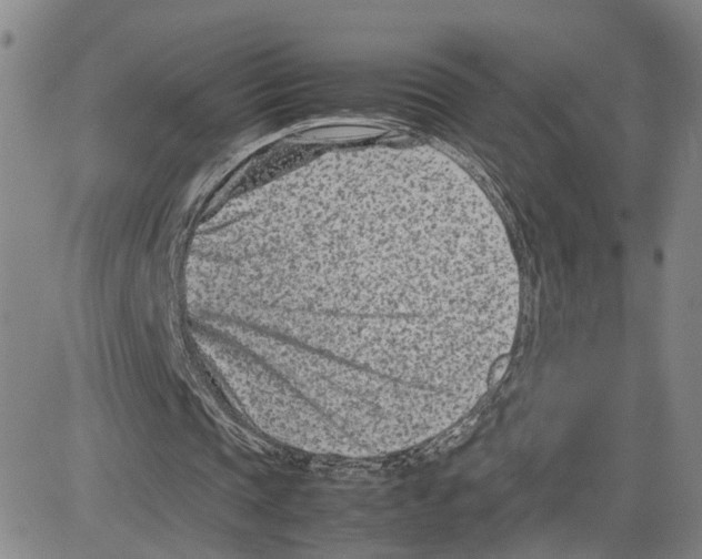 X0000080120337200701051400