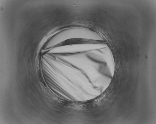 X0000080120343200701051400