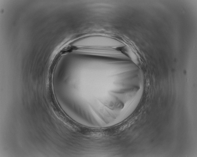 X0000080120344200701051400
