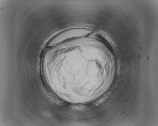 X0000080120346200701051400