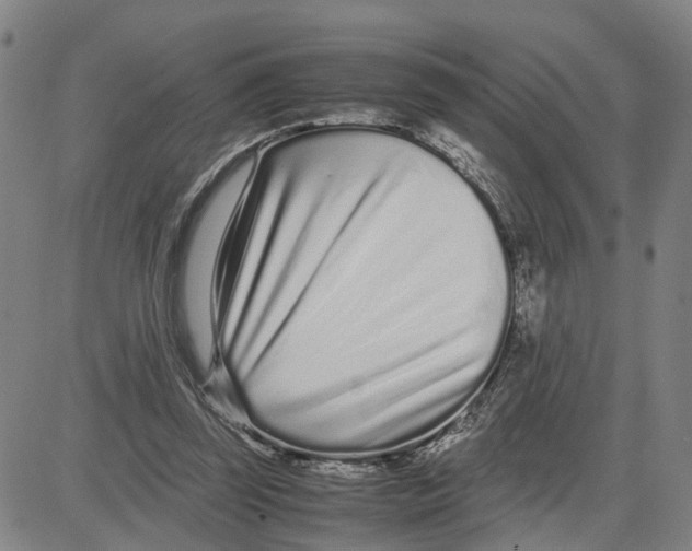 X0000080120347200701051400