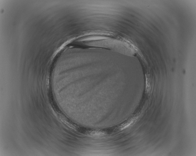 X0000080120348200701051400