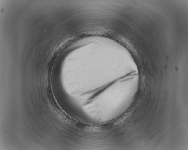 X0000080120354200701051400