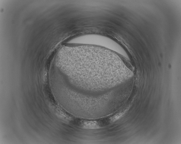 X0000080120355200701051400