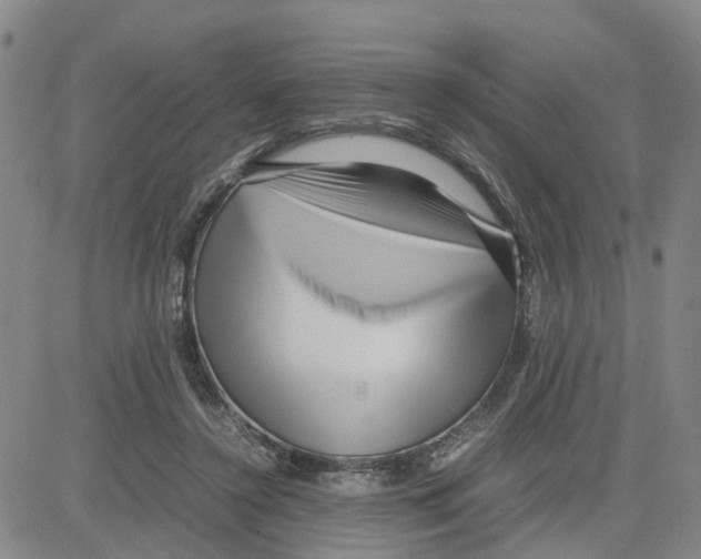 X0000080120356200701051400