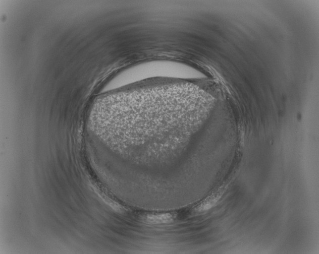 X0000080120357200701051400