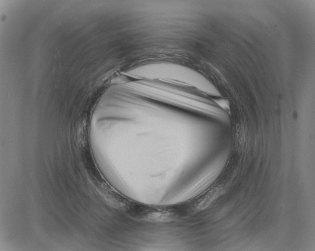 X0000080120364200701051400