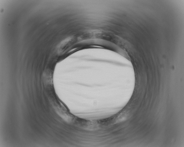 X0000080120384200701051400