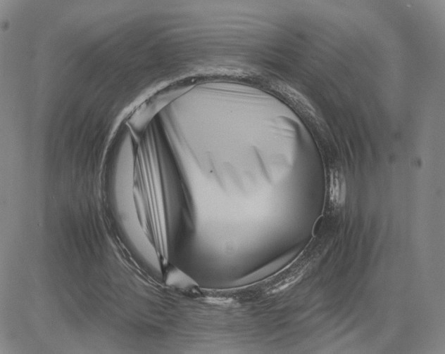 X0000080120388200701051400