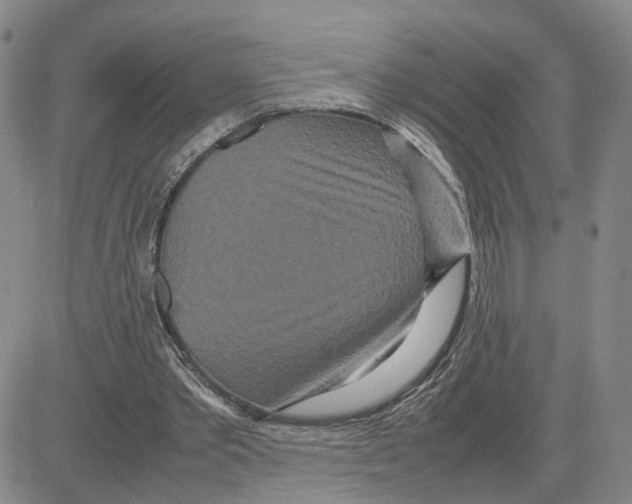 X0000080120389200701051400