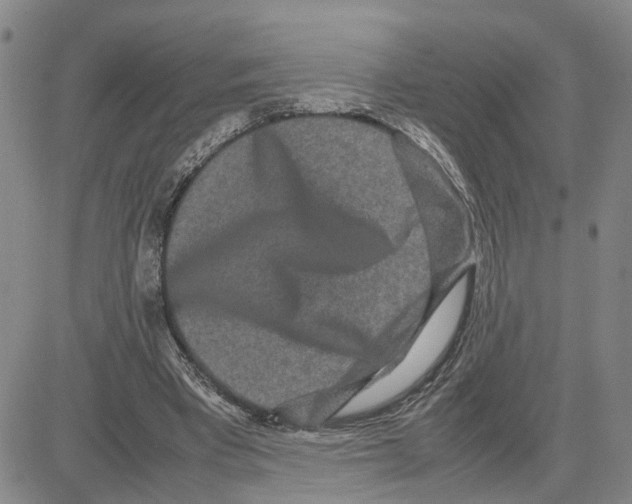X0000080120393200701051359
