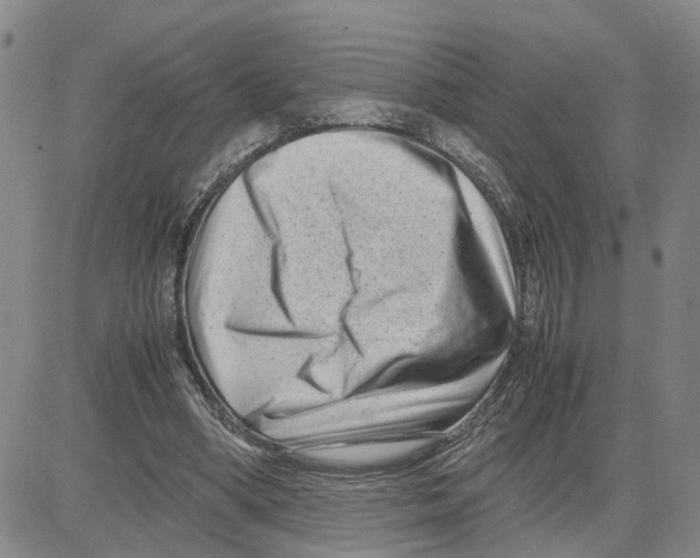 X0000080120394200701051359