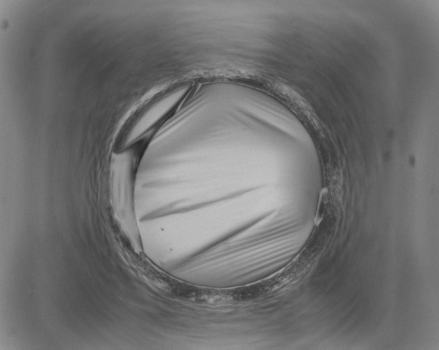 X0000080120395200701051359