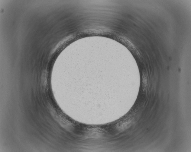 X0000080120396200701051359