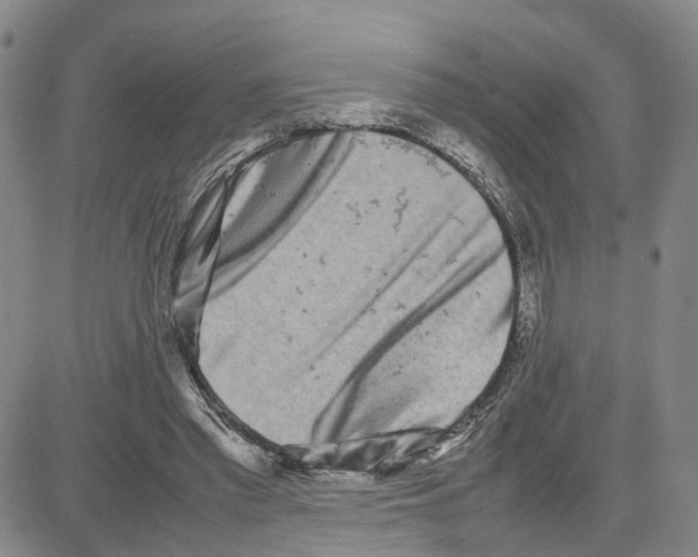 X0000080120397200701051359