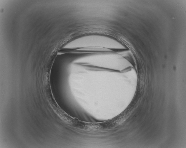 X0000080120401200701051359