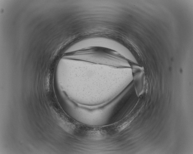 X0000080120404200701051359