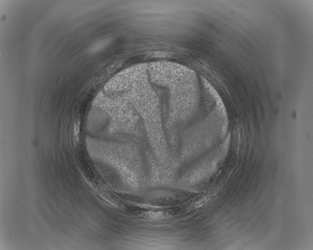X0000080120406200701051359