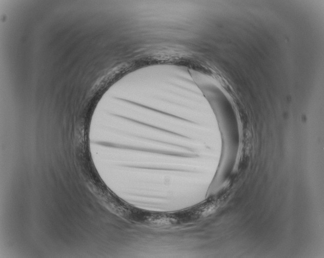 X0000080120407200701051359