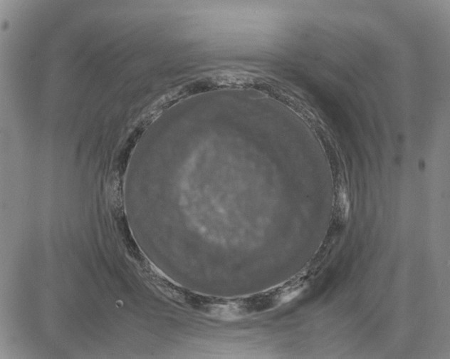 X0000080120411200701051359