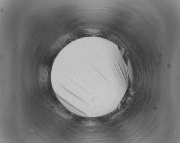 X0000080120412200701051359