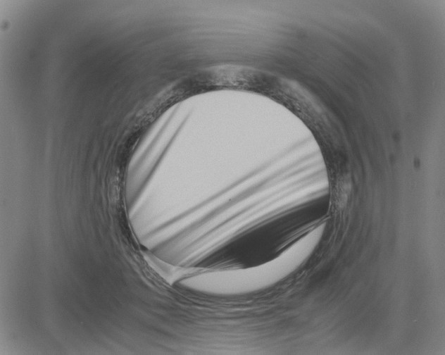 X0000080120413200701051359