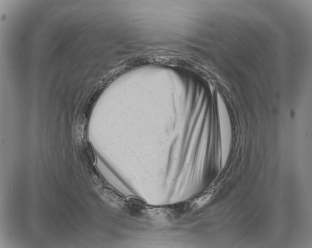 X0000080120417200701051359