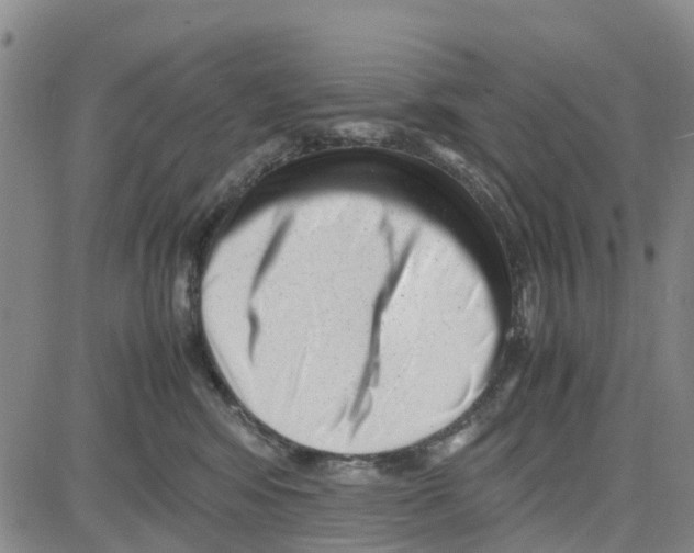 X0000080120424200701051359
