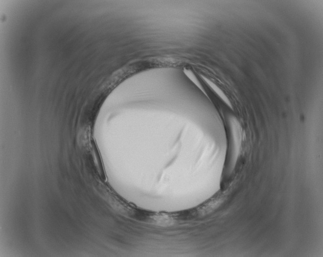 X0000080120425200701051359