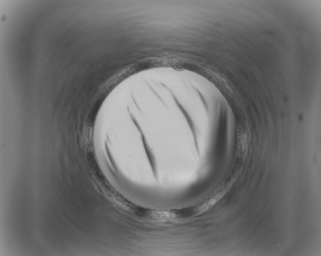 X0000080120429200701051359