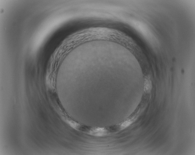 X0000080120431200701051359