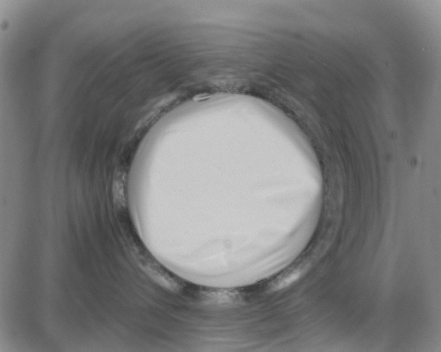 X0000080120432200701051359