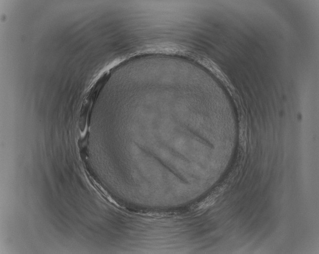 X0000080120434200701051358