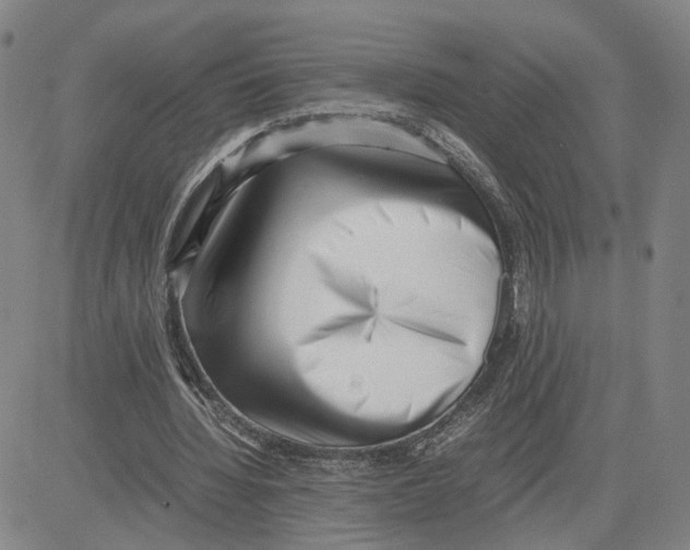 X0000080120436200701051358