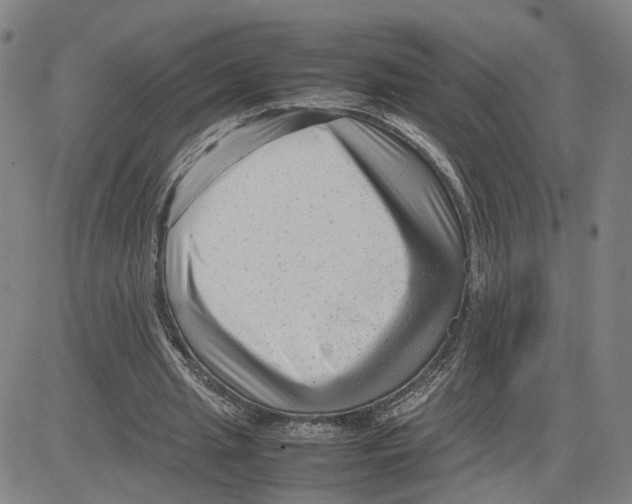 X0000080120437200701051358